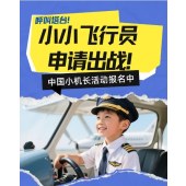 小小飞行员